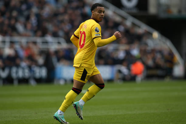 提高球队的 提高球队的